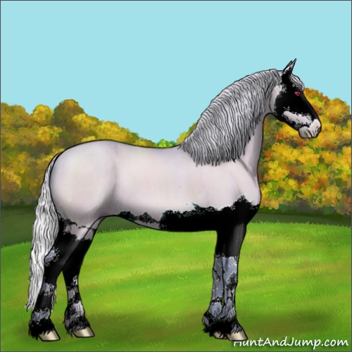 Horse Color:Watercolor Silver Brown Chinchilla Dun Splash