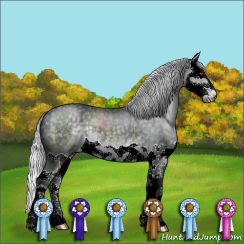 Horse Color:Silver Black Chinchilla Splash