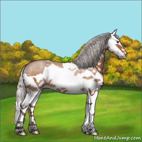 Horse Color:Silver Bay Splash
