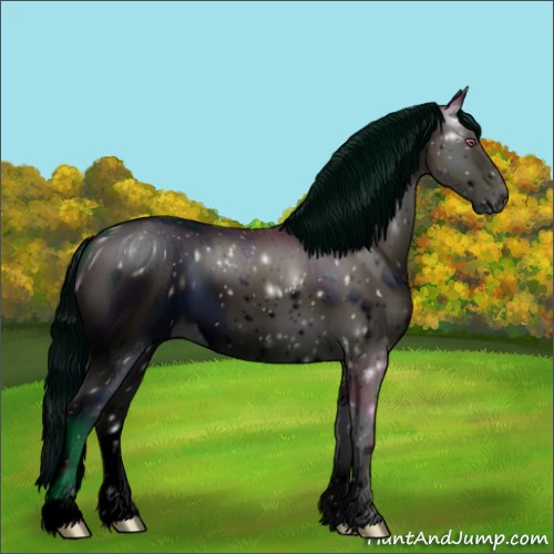 Horse Color:ERROR: UNKNOWN ANOMALY