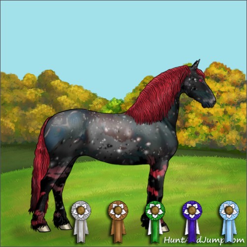 Horse Color:ERROR: UNKNOWN ANOMALY