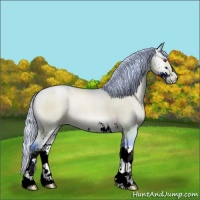 Horse Color:Watercolor Silver Brown Chinchilla Pearl Onyx Sabino