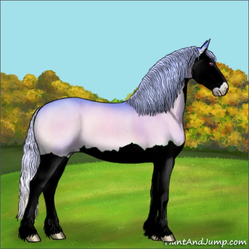 Horse Color:Watercolor Silver Brown Chinchilla Onyx Splash
