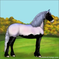 Horse Color:Watercolor Silver Brown Chinchilla Onyx Splash 