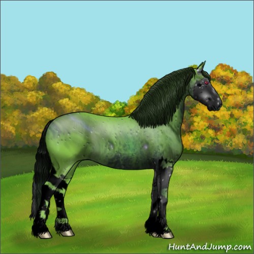 Horse Color:ERROR: UNKNOWN ANOMALY