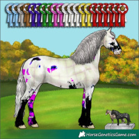 Horse Color:Watercolor Plaid Silver Bay Chinchilla Pearl Onyx Sabino