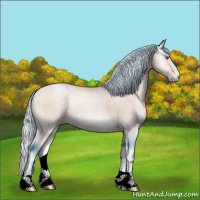 Horse Color:Watercolor Silver Bay Chinchilla Pearl Onyx 