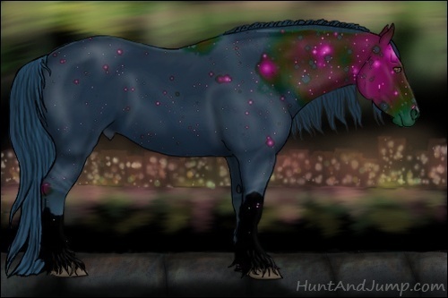 Horse Color:ERROR: UNKNOWN ANOMALY