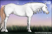 Horse Color:Bay Splash Tobiano Near Leopard  Brindle