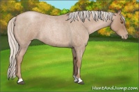 Horse Color:Silver Blue Roan Pearl 