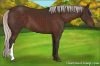 Horse Color:Silver Brown 