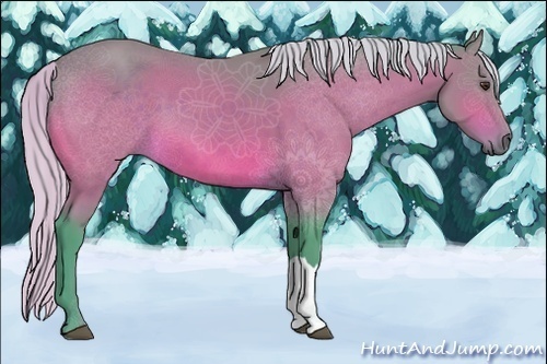 Horse Color:Watercolor Silver Bay 