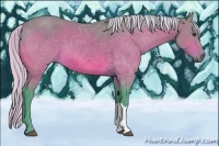 Horse Color:Watercolor Silver Bay 