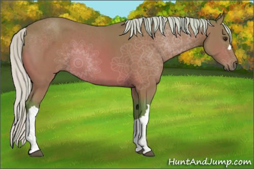 Horse Color:Watercolor Silver Buckskin