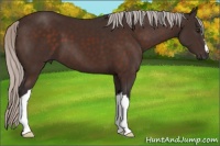 Horse Color:Silver Brown 