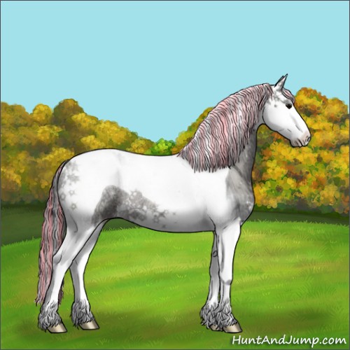 Horse Color:Painted Grullo Ice Splash Tobiano Rabicano