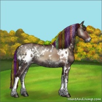 Horse Color:Painted White Spotted Chocolate Brown Ice Onyx Rabicano