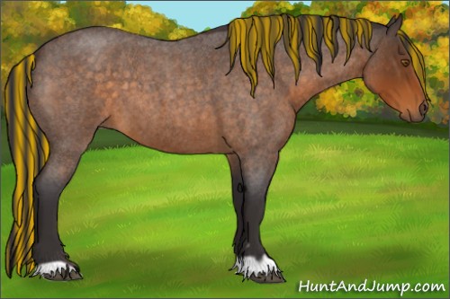 Horse Color:Painted Buckskin Roan 