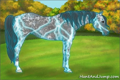 Horse Color:Thunderstruck Black Ice 