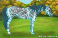 Horse Color:Thunderstruck Black Ice 