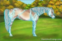 Horse Color:Thunderstruck Silver Bay Ice Onyx 