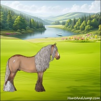 Horse Color:Silver Bay Dun