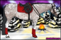 Horse Color:White Spotted Brown Ice Roan Rabicano 