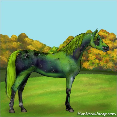 Horse Color:ERROR: UNKNOWN ANOMALY
