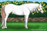 Horse Color:Bay Splash Tobiano Near Leopard Brindle