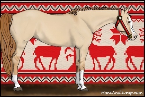Horse Color:Red Dun Splash 