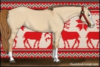 Horse Color:Red Dun Splash 