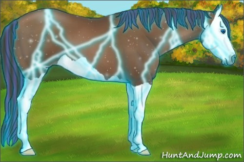 Horse Color:Gray Painted Thunderstruck Black Pearl Splash