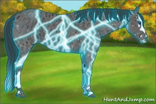 Horse Color:Thunderstruck Black Ice Splash 
