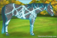 Horse Color:Thunderstruck Black Ice Splash
