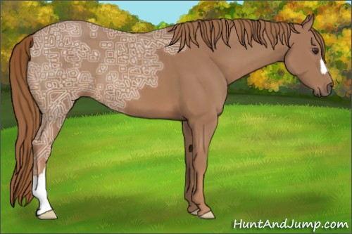 Horse Color:Chestnut Ice 