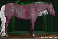 Horse Color:Silver Smoky Black Chinchilla Ice
