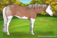 Horse Color:Silver Brown Roan Splash 