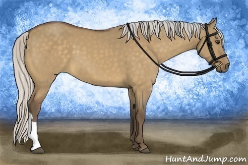 Horse Color:Silver Buckskin Dun