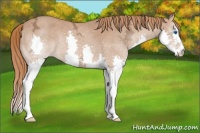 Horse Color:Chestnut Ice Splash