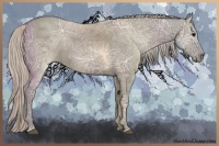 Horse Color:Silver Grullo Ice 