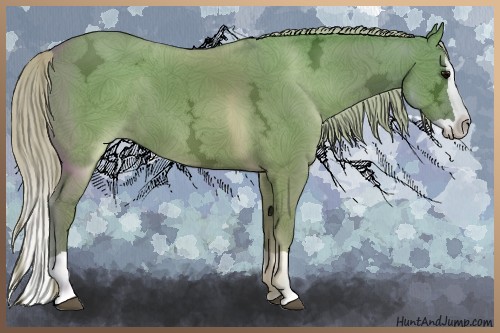 Horse Color:Silver Grullo Ice Splash 