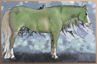 Horse Color:Silver Grullo Ice Splash 