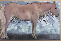 Horse Color:Silver Grullo Ice