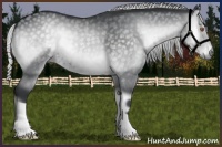 Horse Color:Silver Blue Onyx Chinchilla 