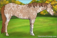 Horse Color:Chestnut Ice 