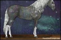 Horse Color:Watercolor Midnight Palomino Ice Onyx 