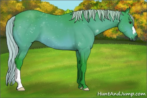 Horse Color:Gray Watercolor Silver Brown