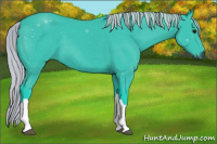Horse Color:Gray Watercolor Silver Black 