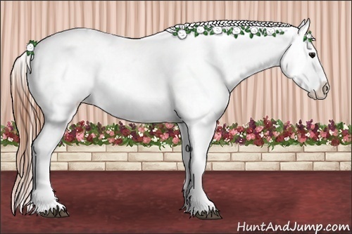 Horse Color:Bay Splash Tobiano Varnish  Brindle