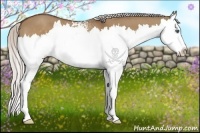 Horse Color:White Spotted Silver Brown Dun Splash 